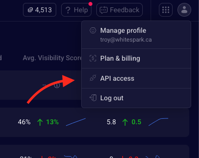 API Access screenshot